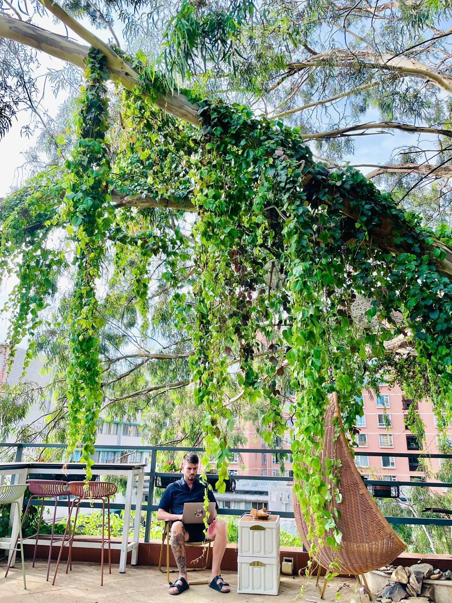 Kunming Upland International Youth Hostel Near The City Center ,2 Mins Walk To The Subway, 2 Mins Walk To The Green Lake, Close To Yuan Tong Temple, Old Street, Yunnan University, Convenient Payment And Visa Cards Are Accepted Exteriér fotografie